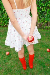 Silver Spur Sky Dress