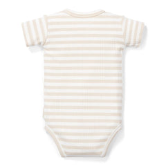 Kurzarmbody Sand Weiß gestreift für Babys
